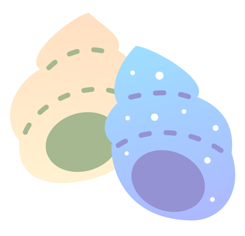 2つの巻き貝のイラスト