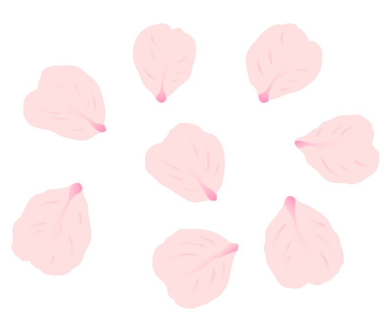 桜の花びらのイラスト