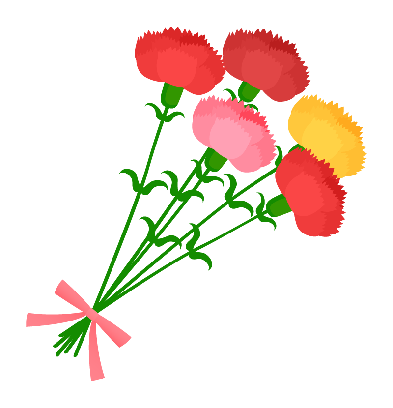 カーネーションの花束のイラスト