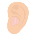 耳と補聴器のイラスト