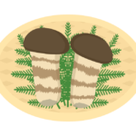 かご盛りの松茸のイラスト