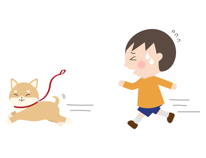 散歩中柴犬を追いかける男の子のイラスト  無料のフリー素材 イラスト 