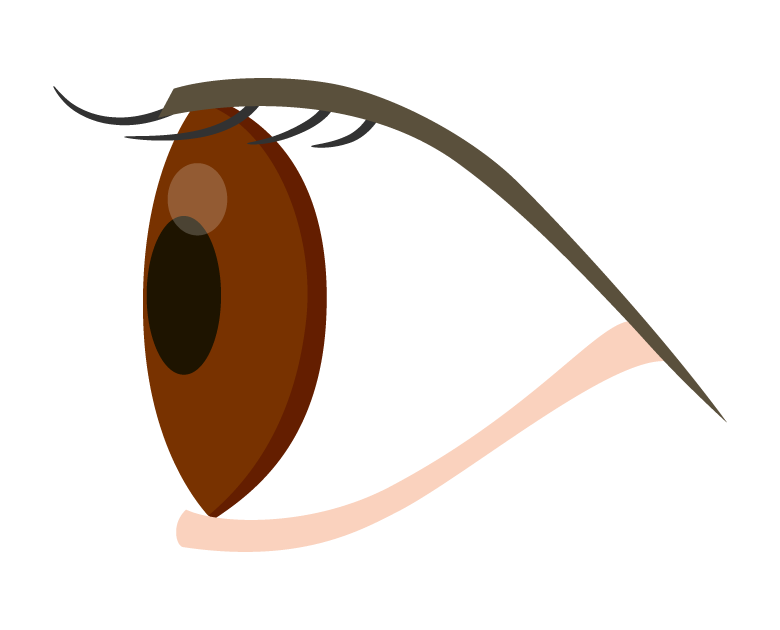 横からの眼球のイラスト