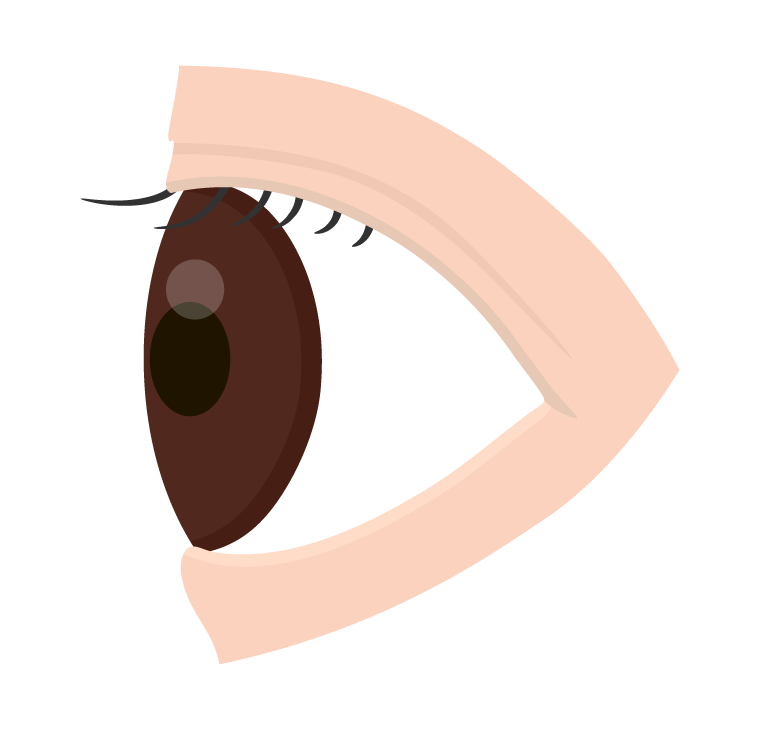 横からのアングルの目のイラスト