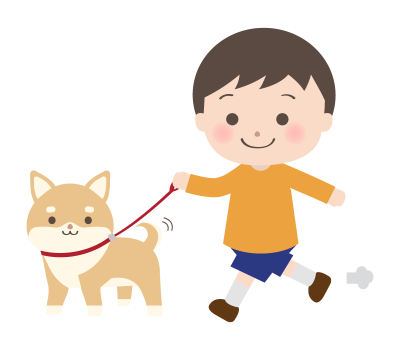 楽しく散歩している柴犬と男の子のイラスト