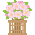 ひな祭りの桃の花のイラスト