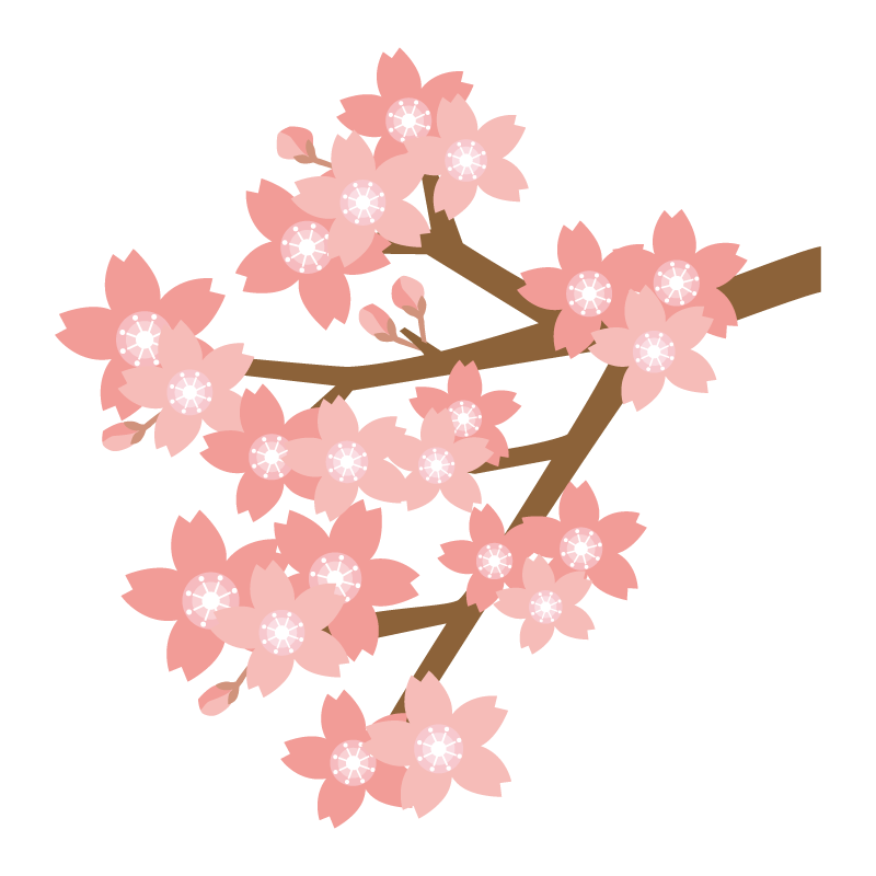 枝と桜のイラスト02