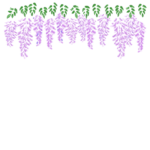 手書き風の藤の花の上段フレーム・飾り枠のイラスト