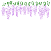 手書き風の藤の花の上段フレーム・飾り枠のイラスト