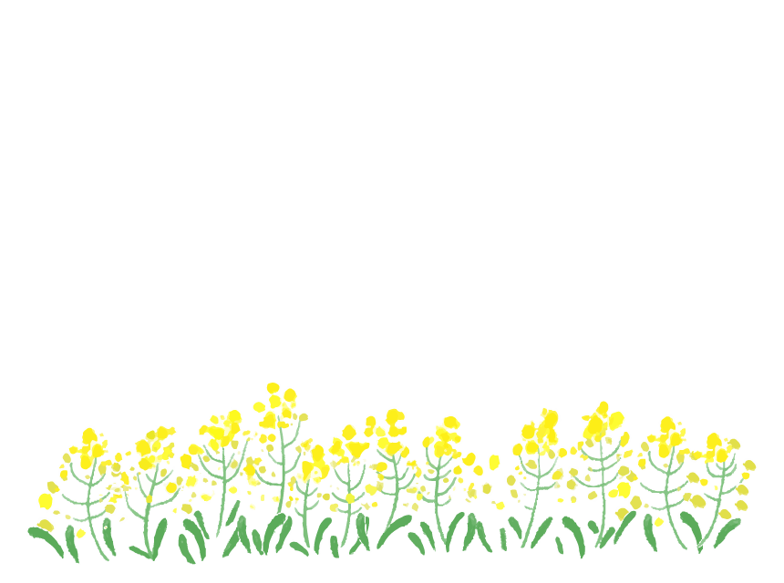 手書き風の菜の花の下段フレーム・飾り枠のイラスト