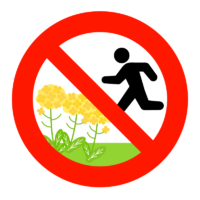 「菜の花畑に入らないでください」のイラスト