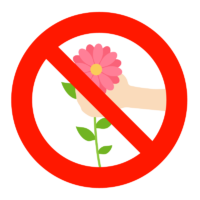 「花を採らないでください」のイラスト02