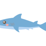 かわいいサメのイラスト
