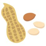 落花生とピーナッツのイラスト