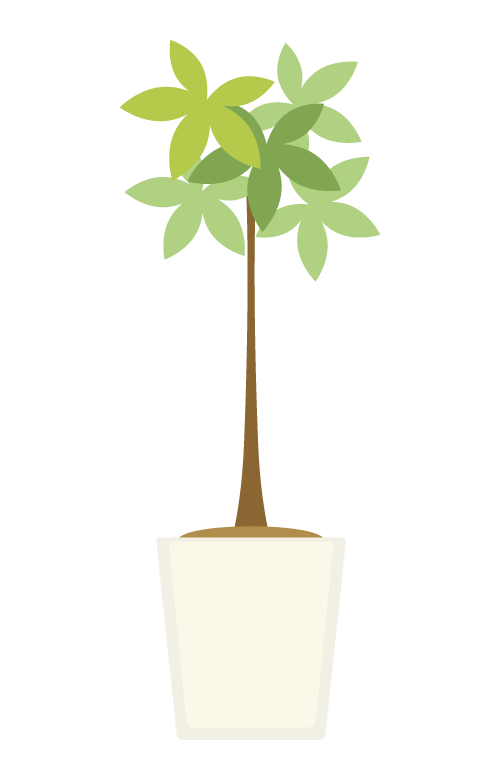 観葉植物のイラスト