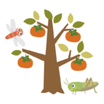 柿の木とキリギリスとトンボのイラスト