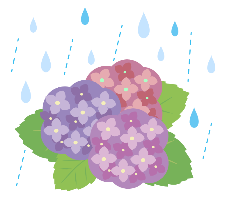 雨と紫陽花（あじさい）のイラスト