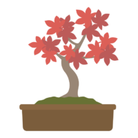 赤い葉の盆栽のイラスト