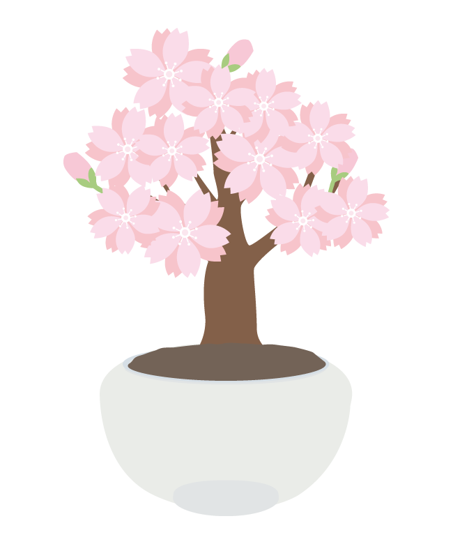 桜の盆栽のイラスト