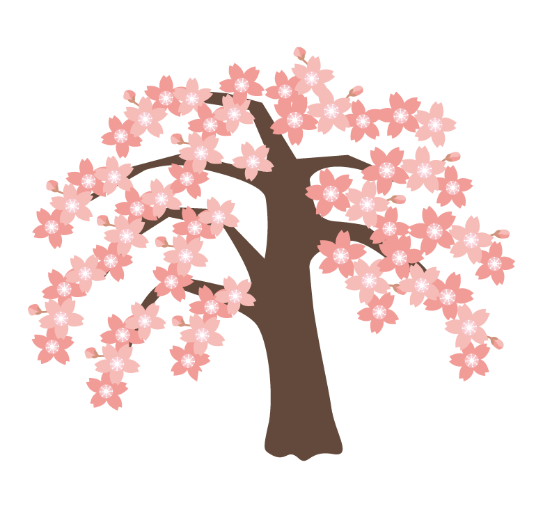 枝垂桜のイラスト