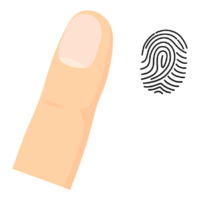 指と指紋／指紋認証のイラスト