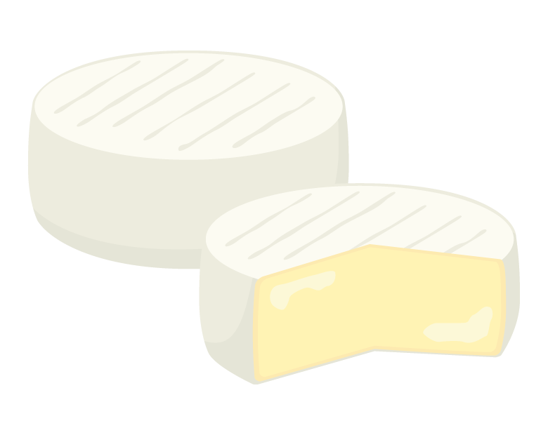 カマンベールチーズのイラスト02