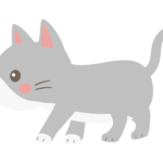 グレー白の猫のイラスト