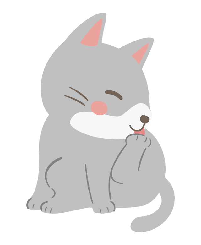 足を舐めているグレー白の猫のイラスト