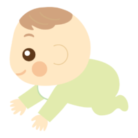 ハイハイをする赤ちゃんのイラスト