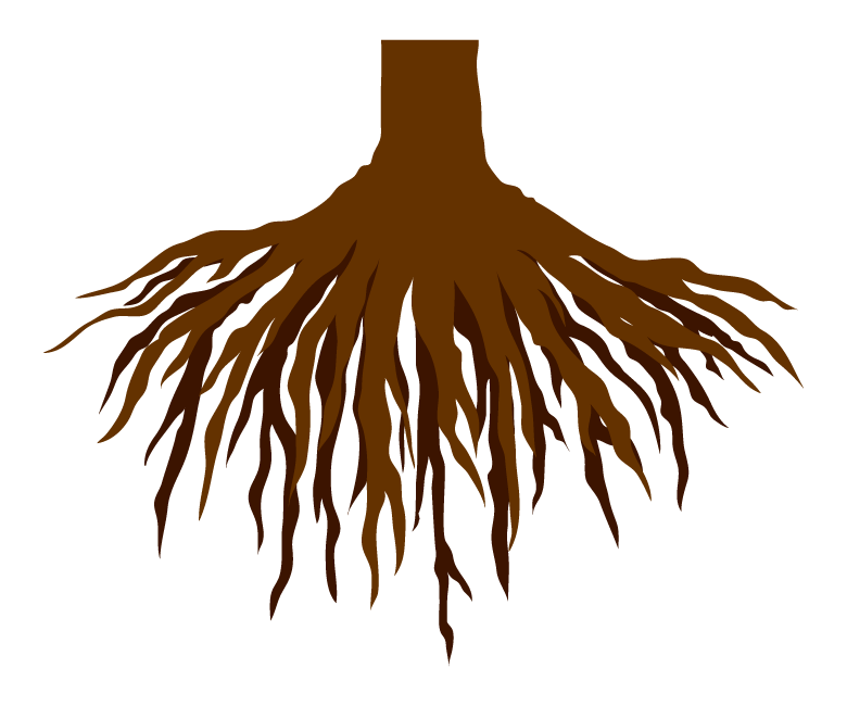 木の根のイラスト
