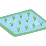 田んぼのイラスト
