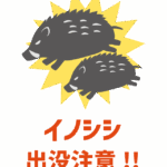 イノシシ出没注意のイラスト