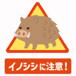 イノシシに注意のイラスト