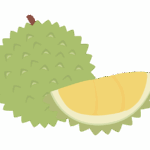 ドリアンのイラスト