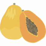 パパイヤのイラスト