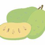 ポポーのイラスト
