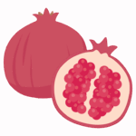 ザクロのイラスト