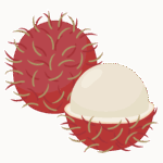 ランブータンのイラスト
