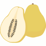かりんのイラスト