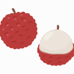 ライチのイラスト