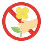 花摘み禁止のイラスト