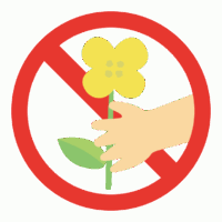 花摘み禁止のイラスト
