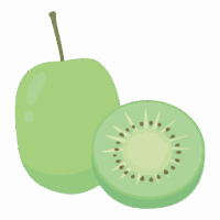 サルナシのイラスト