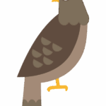 鷹のイラスト