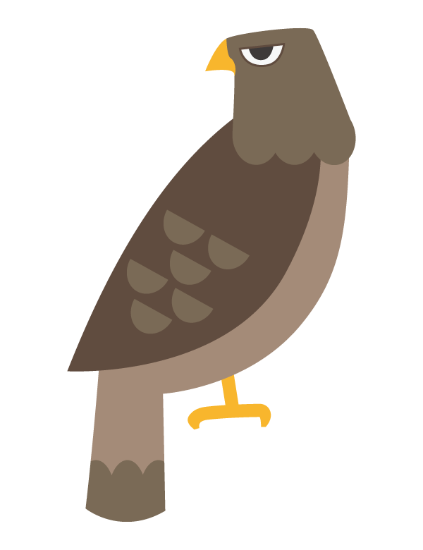 鷹のイラスト