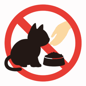 猫への餌付け／エサやり禁止のイラスト