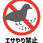 ハトへエサやり禁止のイラスト