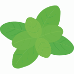 バジルのイラスト