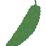 ゴーヤのイラスト