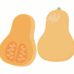 バターナッツかぼちゃのイラスト